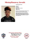 Damarius McElroy, 14, missing from Mesa, police say