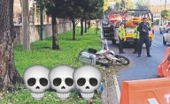 Biker no mide su velocidad y se "estaciona" en un árbol, perdió la vida