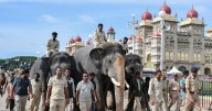Mysuru Dasara 2025: City of Palaces decked up for 'D