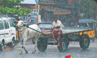 Tamil Nadu: Expect mild showers with thunderstorms till Oct 17