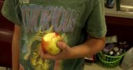Students celebrate Maine Apple Crunch day