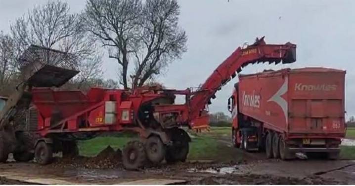 Employee punctured lung and broke ribs in workplace accident as company fined