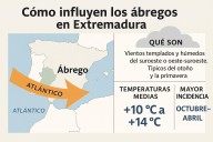 Así influyen los vientos ábregos en el clima y la agricultura de Extremadura