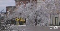 FEMA denies Michigan's appeal for more aid in aftermath of historic ice storm