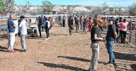 Expo Rural del Alto Valle: un sábado ventoso, pero la gente de campo no afloja