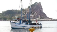 Prevalecen críticas capturas de camarón en la primer semana de pesca