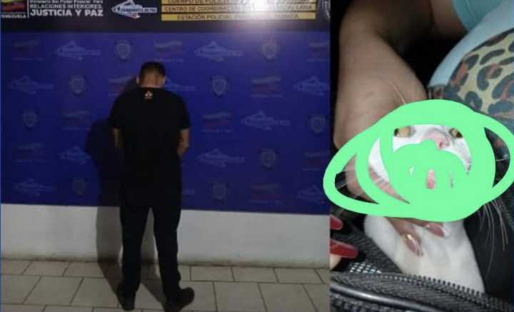 Detenido en Lara por golpear salvajemente a un gato