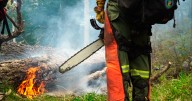 «Ecos del Fuego»: llegaron al cine las voces de quienes combaten incendios en la Patagonia