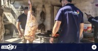 Faena clandestina en Córdoba: ofrecían carne ilegal en las redes sociales