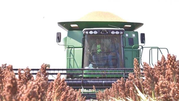 Enfrentan productores panorama incierto