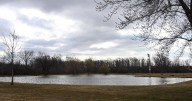 Welland’s St. George Park to be transformed into wetland next year