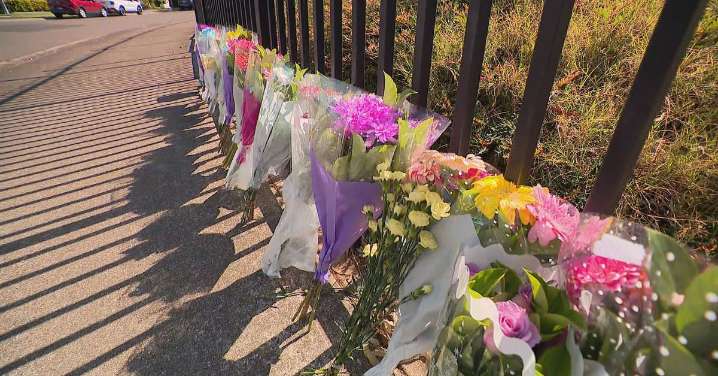 Rouse Hill Public School: Tributes for five-year-old girl killed in crash outside of primary school