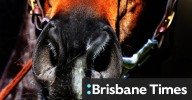 Tips and race-by-race guide for Coonabarabran on Sunday