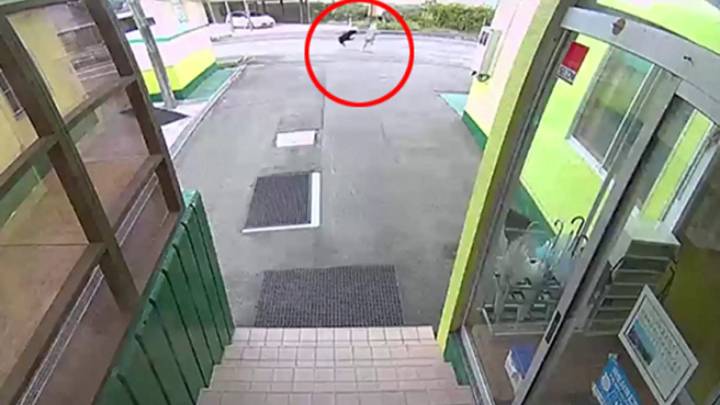 Los gritos desgarradores de una anciana al ser atacada por un oso