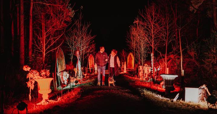 The North London Halloween experience perfect for families -  tickets, food, and what to expect