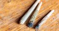 DeSantis administration is interfering with new recreational pot amendment, lawsuit alleges