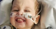 'Our son has rare neonatal disease - now he needs third lifesaving transplant'