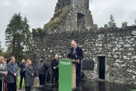 Some flying Irish tricolour dishonour our national flag, Taoiseach says