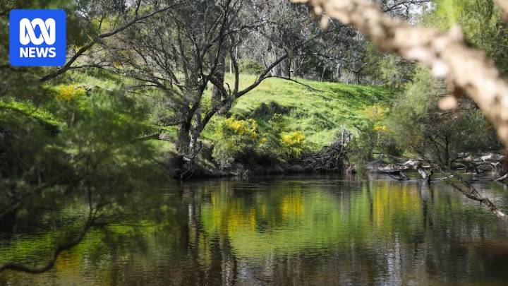 WA Governor Chris Dawson to apologise to Traditional Owners for Pinjarra Massacre