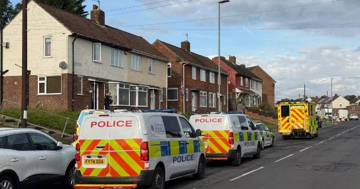 Pair wounded in fight at house in Stockton as emergency services called