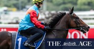 Beadman defends Ka Ying Rising as doubts grow about $20m Everest favourite