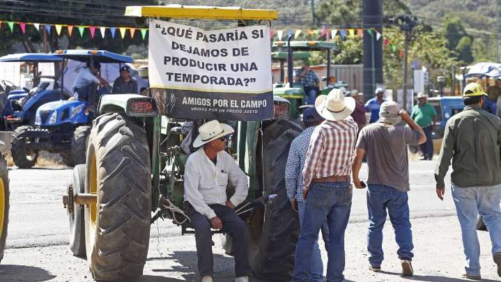 Productores de maíz logran un acuerdo con Gobierno Federal