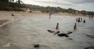 El año uno del Renacimiento Maya en Yucatán: Balance para el país