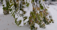 Snow Code: What is your responsibility in the colder months?
