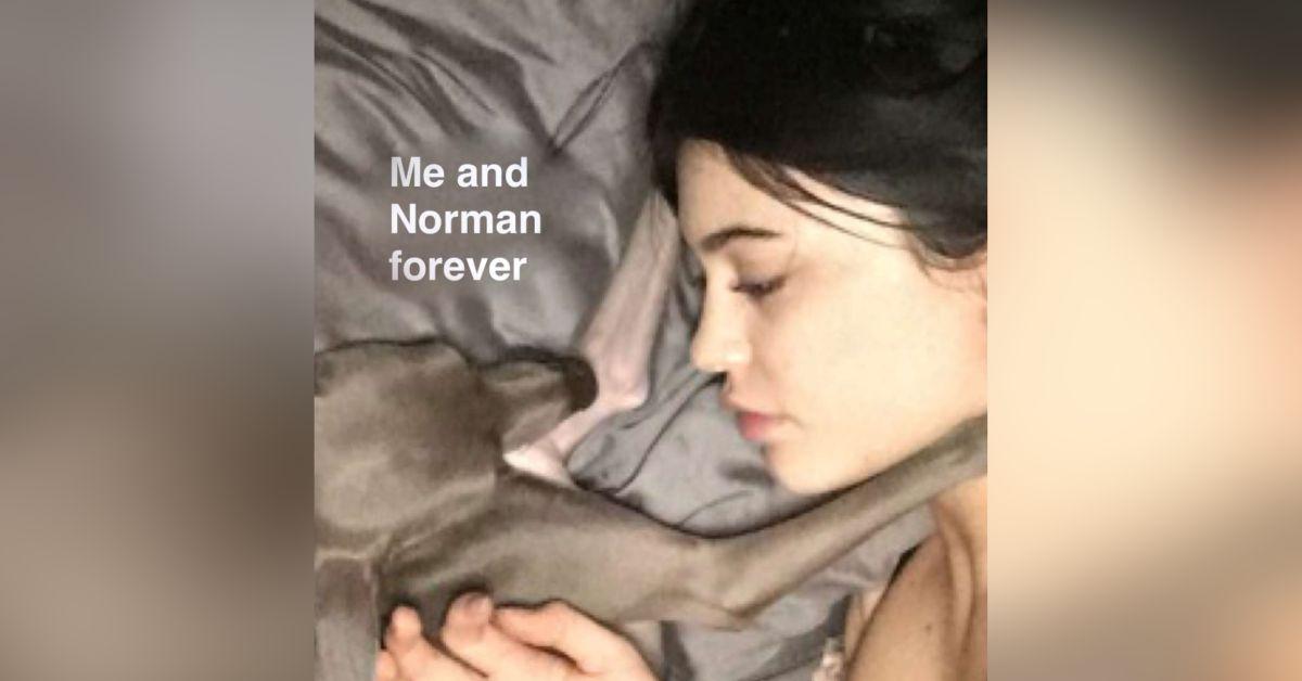 Kylie Jenner's Beloved Dog Norman Dies at Age 12