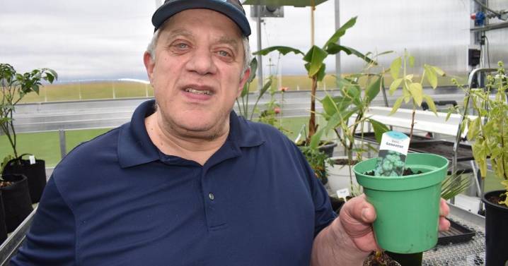 Bethesda greenhouse helps grow confidence
