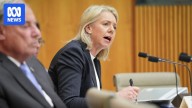 Nationals Senator Bridget McKenzie demands government action over allegations of hundreds of sexual assaults by driving instructors