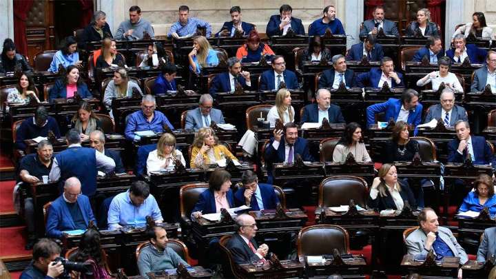 La oposición exige al Gobierno aplicar subas aprobadas para el Garrahan y las universidades