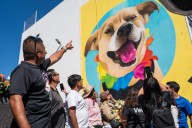 Dan el último adiós al “Chicles”, el lomito corredor que dejó huella en Tijuana
