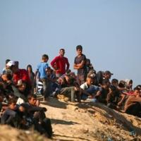 'Full of sorrow': Gazans trek home as truce begins