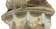 German woman who stole ancient relic over 50 years ago returns it to Greece: "Never too late to do the right thing"