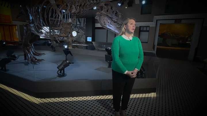 Royal BC Museum looking for new CEO, fourth in five years
