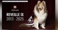 Texas A&M mourns Reveille IX, beloved 'First Lady of Aggieland'