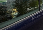 No One Prepared for Moment Two Dogs Lock Eyes Through Car Windows