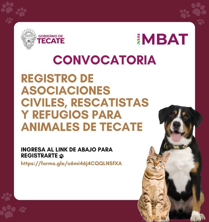 Gobierno de Tecate invita a registro de asociaciones, rescatista y refugios animales.