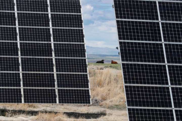 Tribe vs. Solar: Major Washington Project at Crossroads