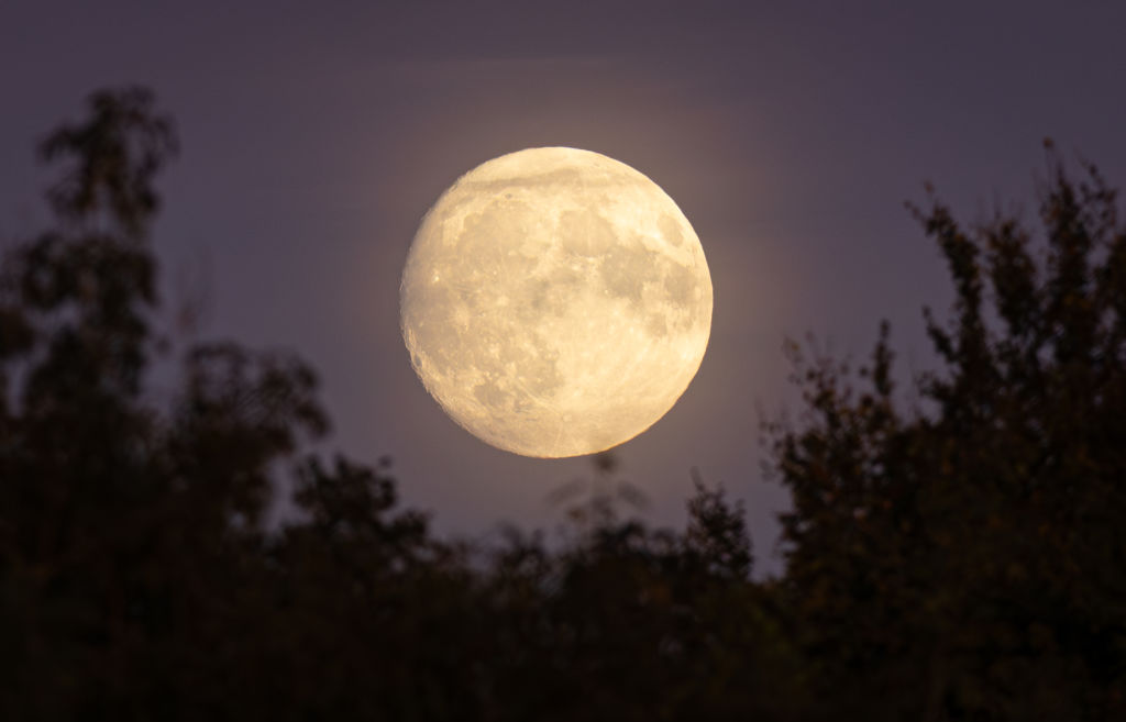 The Harvest Moon Rises Tonight: First Supermoon of 2025 Brightens October’s Sky