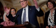 FACT-CHECK: Yes, Democrats are responsible for the shutdown