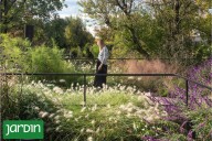 Las plantas que no fallan. Versátiles y resistentes, se convirtieron en el sello de los jardines más admirados