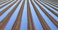Yuma Ag & You: The lifeline of irrigation