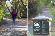 Perv lured middle schooler into NYC park with threat, made teen strip off shirt: sources