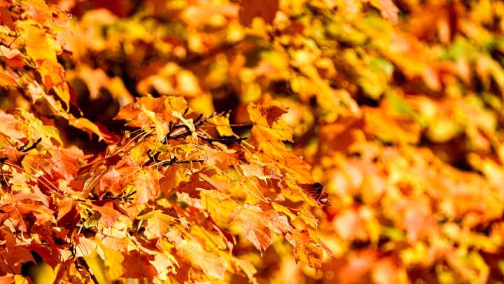 Is it time to turn on my furnace? HVAC advice from a local expert