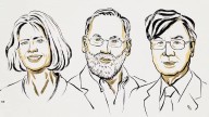 Premio Nobel de Medicina a tres científicos por sus hallazgos sobre el sistema inmune