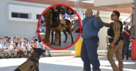 El agente K9 “López” se despide tras ocho años de servicio en la Policía Municipal