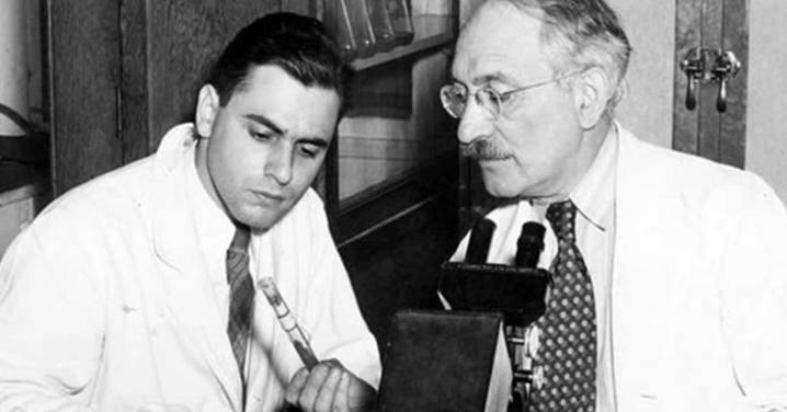 Today in History - October 19: Albert Schatz risked his life to cure tuberculosis. But someone else took credit