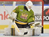 Sarnia Sting trade for goalie Charlie Larocque